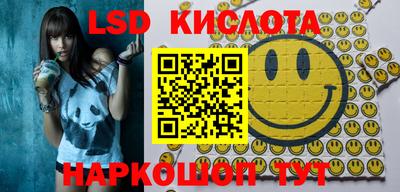 трава Сланцы