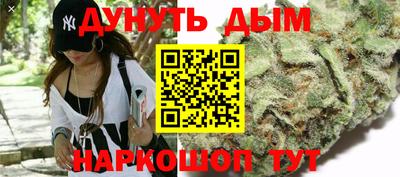 молекула духа Славянск-на-Кубани