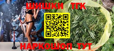 трава Сланцы