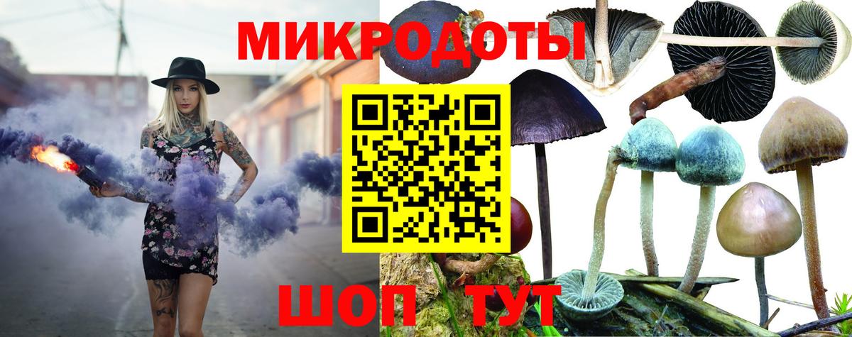 Псилоцибиновые грибы Magic Shrooms  Вход с VPN  Александров  Псилоцибиновые грибы мицелий 
