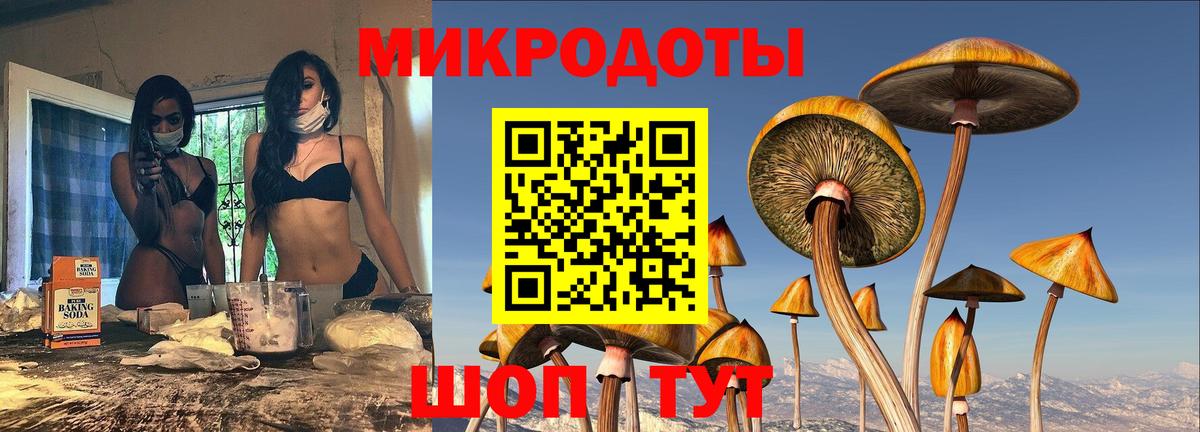 Галлюциногенные грибы мицелий Александров