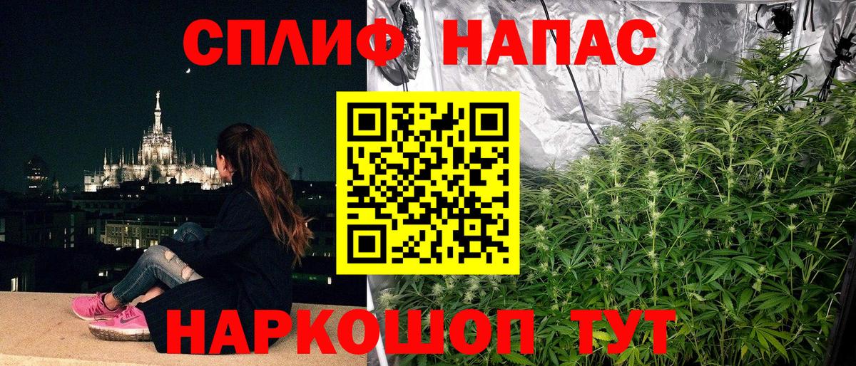 Бошки Шишки семена Александров